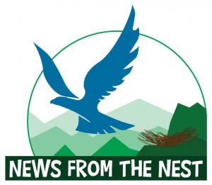 News from the Nest logo